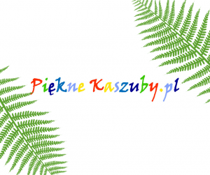 roboczy _ post (4) roboczy _ post (4)