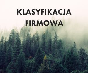 klasyfikacja