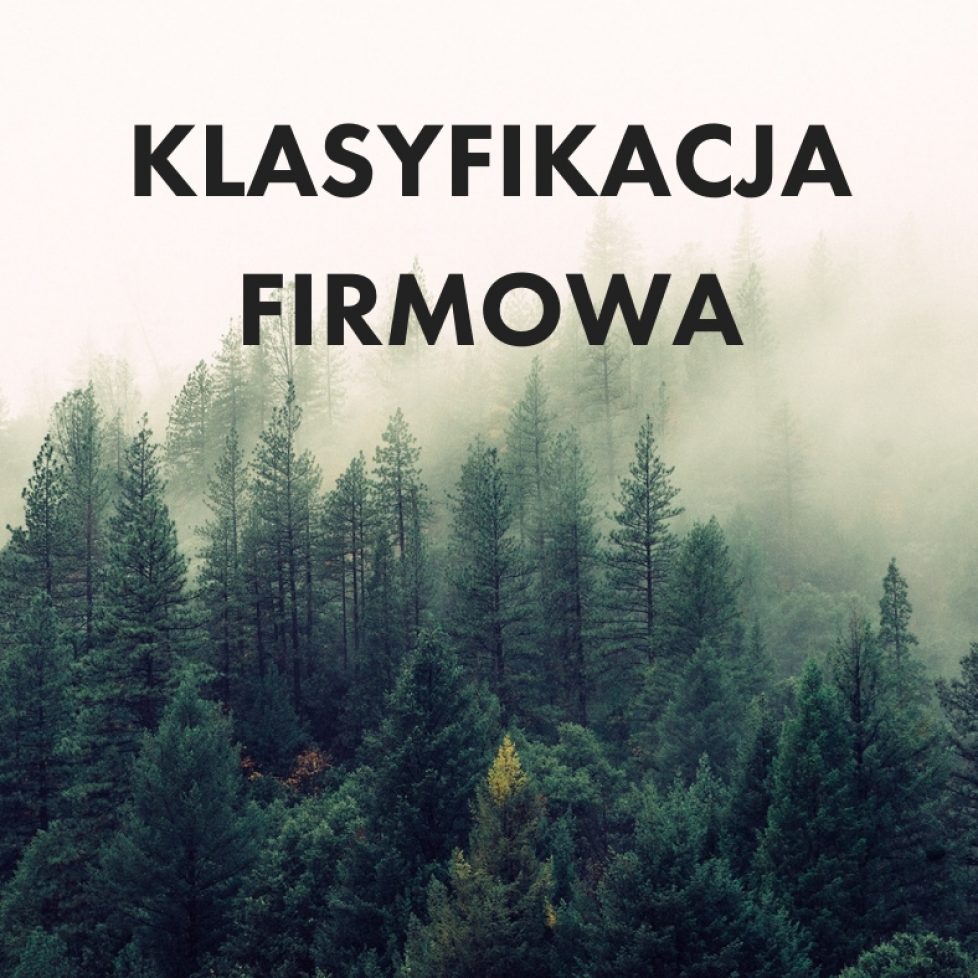 klasyfikacja