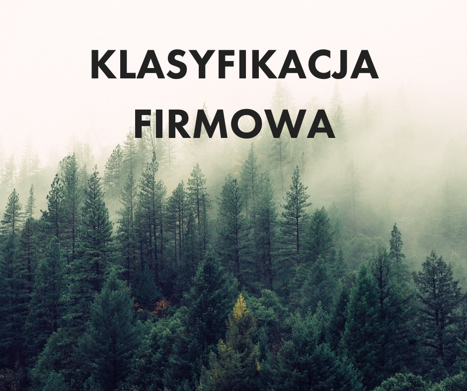 klasyfikacja
