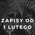 zapisy