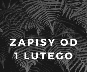 zapisy zapisy