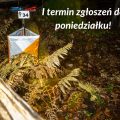 I termin