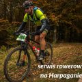 serwis