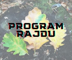 PROGRAM PROGRAM