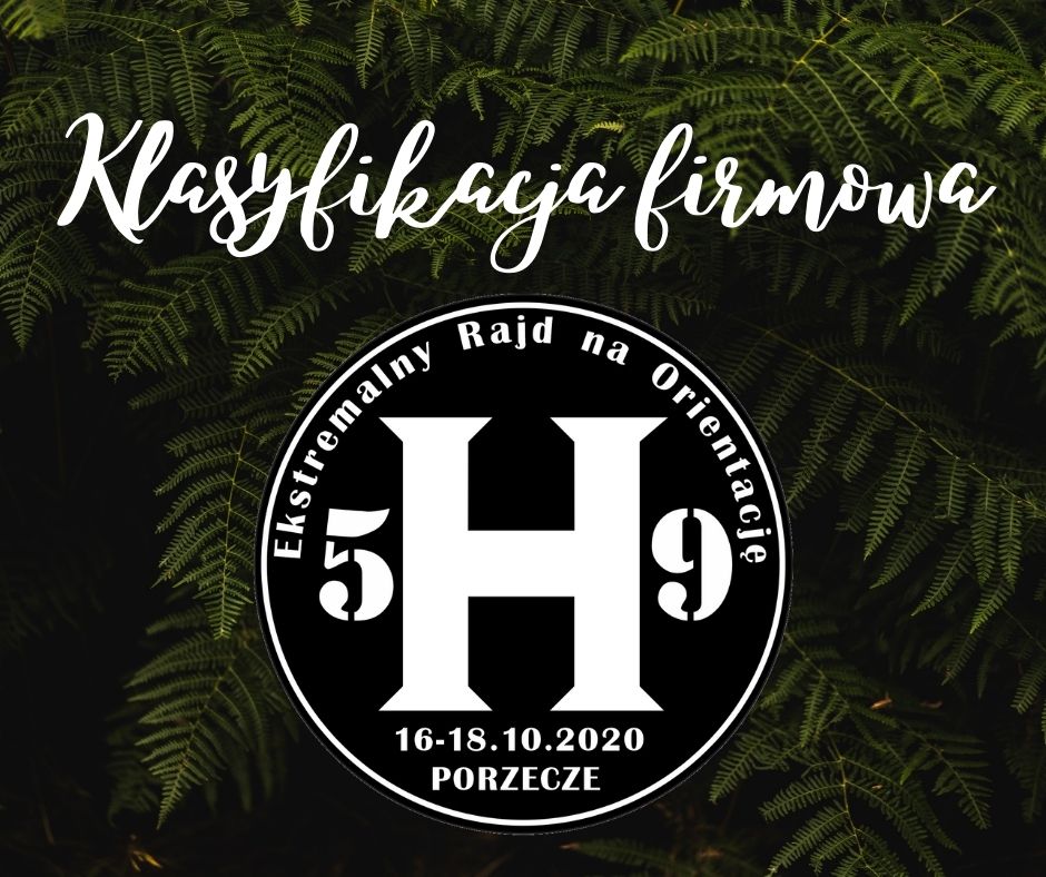 klasyfikacja firmowa klasyfikacja firmowa