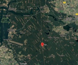 bąk