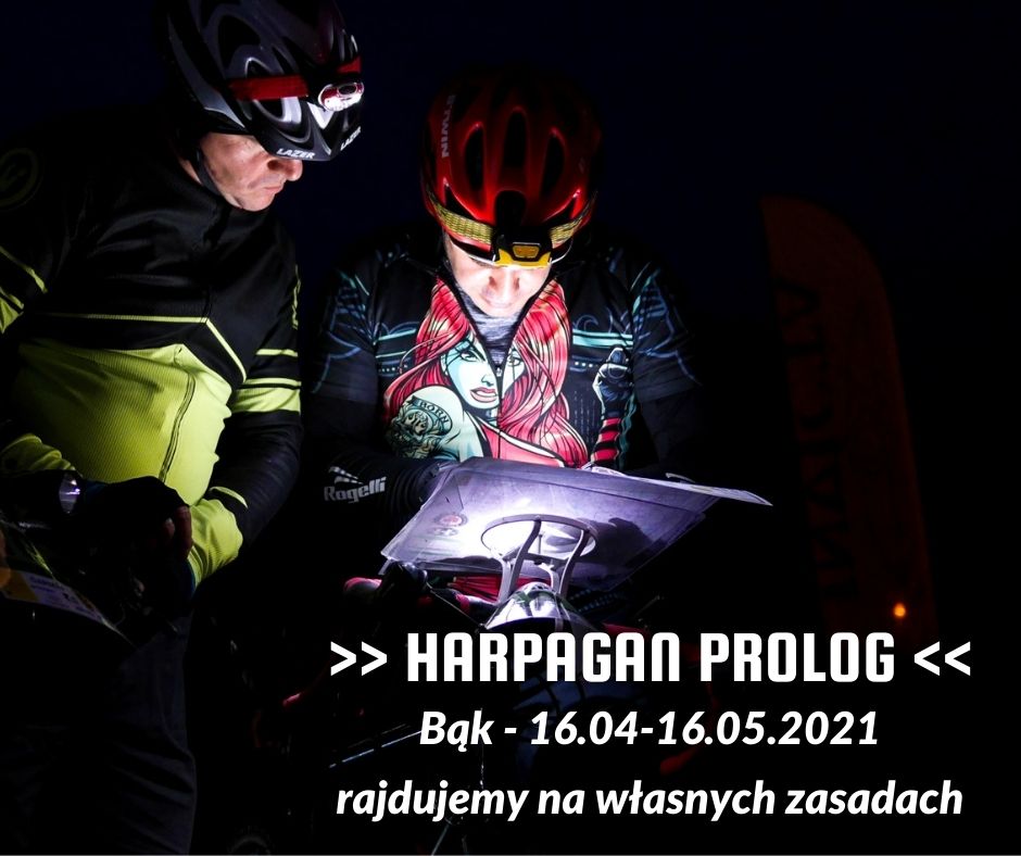 prolog prolog