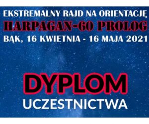 dyplom
