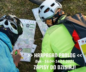 zapisy do dzis
