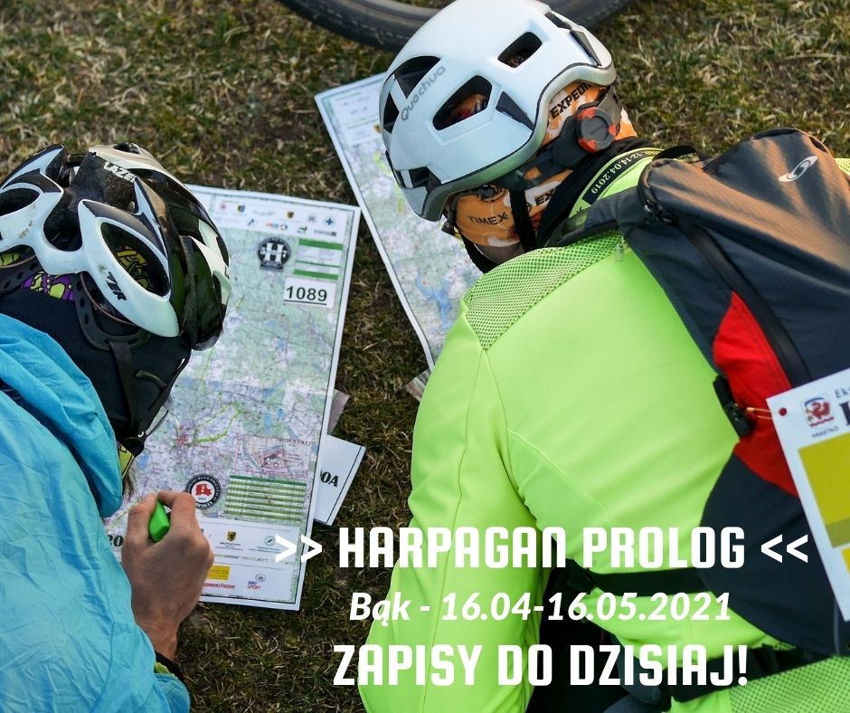 zapisy do dzis zapisy do dzis