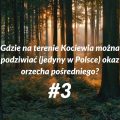 kociewie 3 kociewie 3