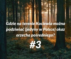 kociewie 3