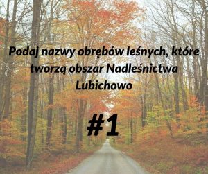lasy 1