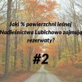 lasy 2