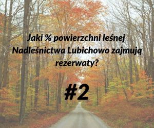 lasy 2