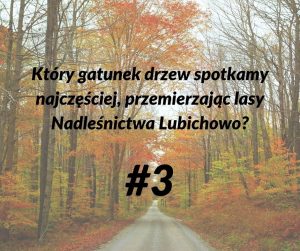 lasy 3