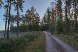 IMG_20241012_075117_HDR