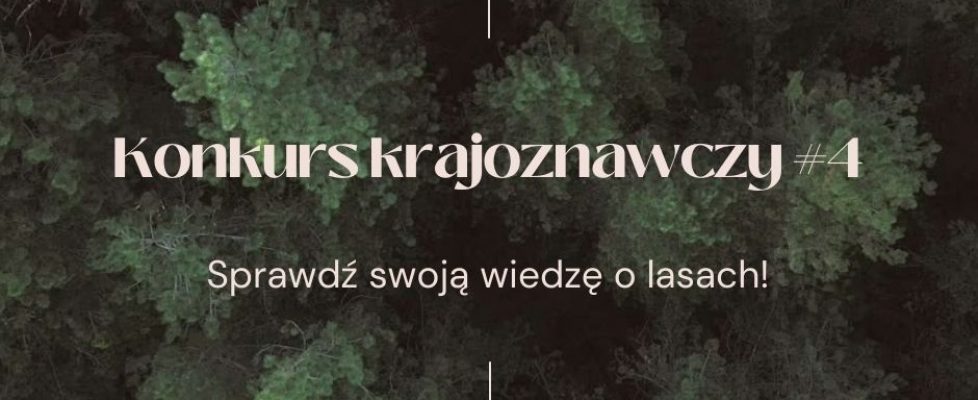 konkursy
