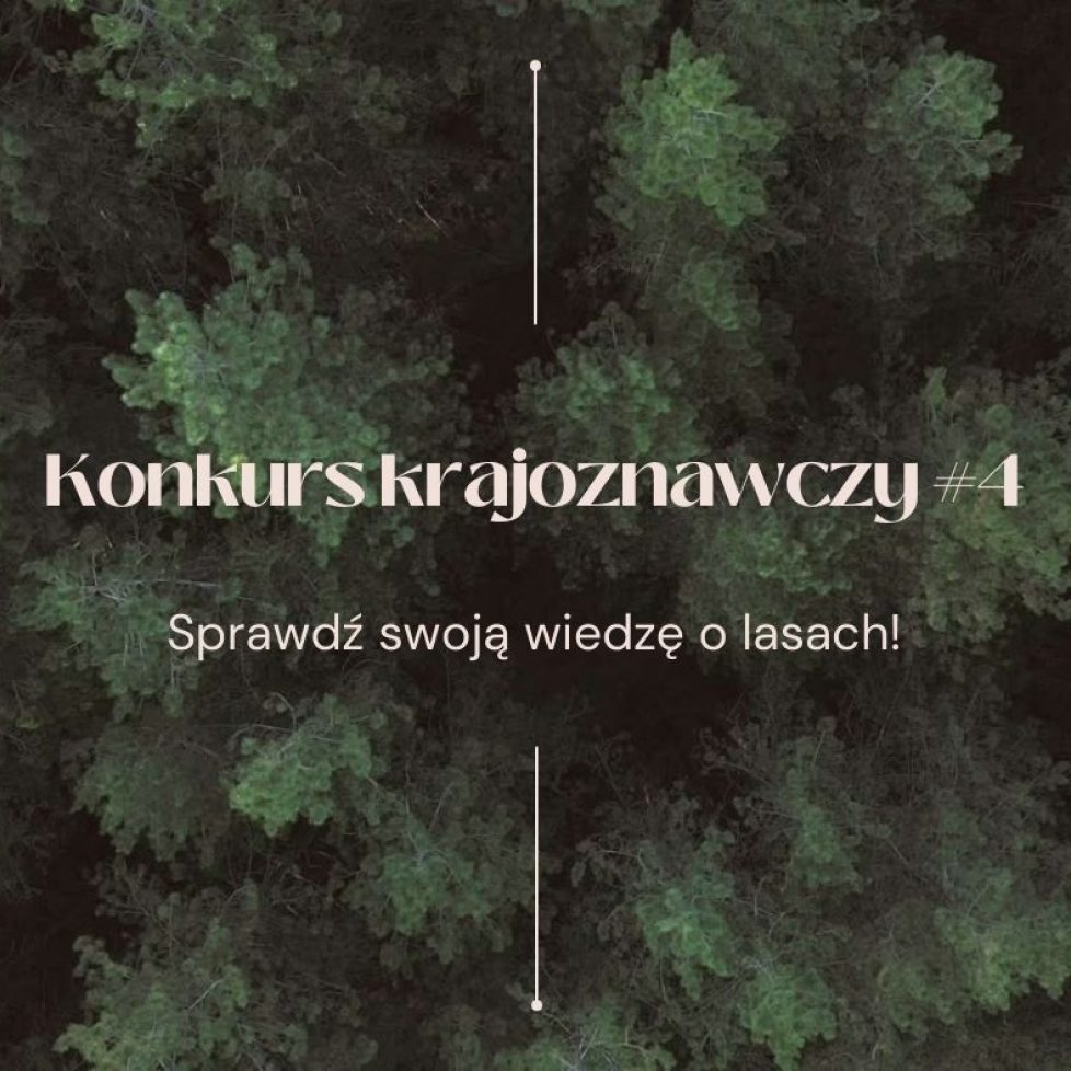 konkursy