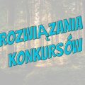 rozwiazania