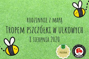 ulkowy 2020