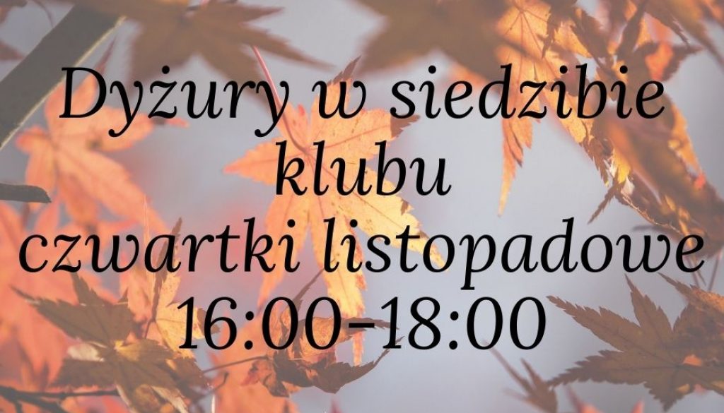 dyzury