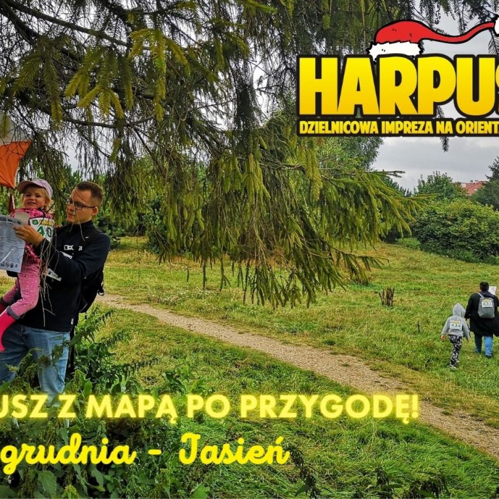 jasień jasień