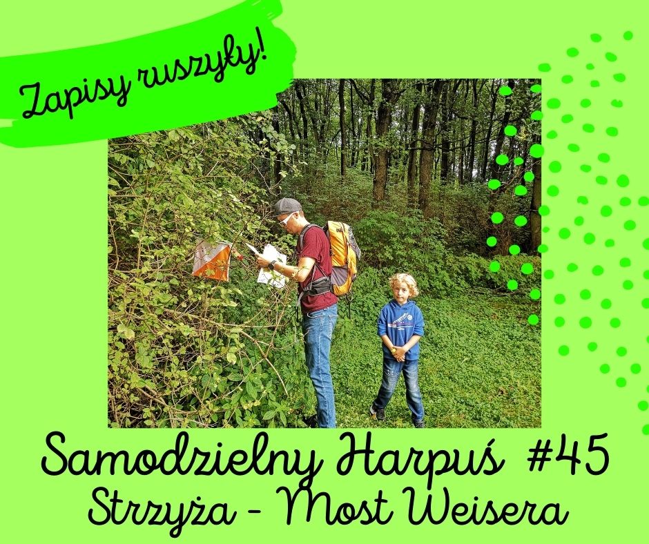 zapisy ruszyly S45