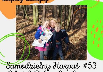 zapisy 53