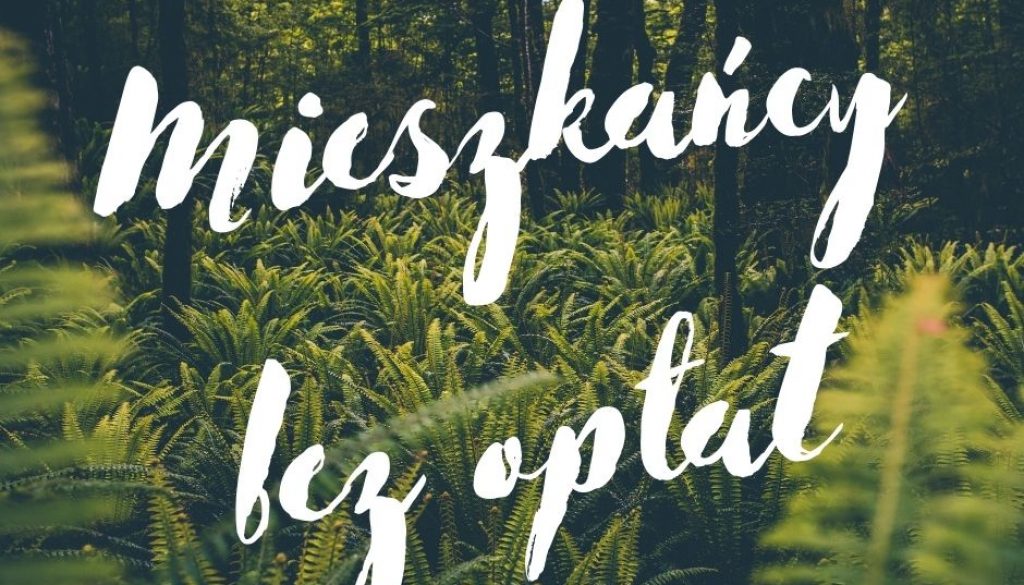 bezpłatnie