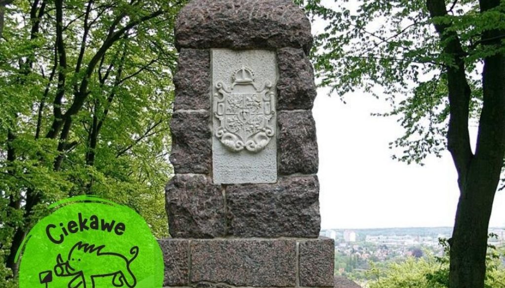 oliwa