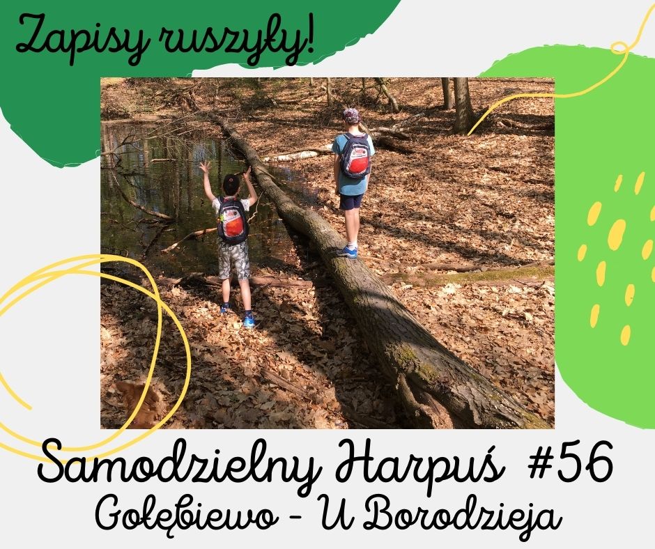 zapisy 56 zapisy 56