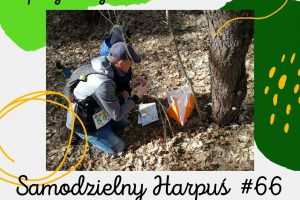 zapisy 66 zapisy 66