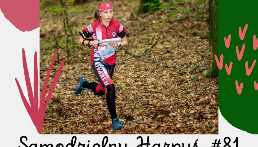 zapisy 81