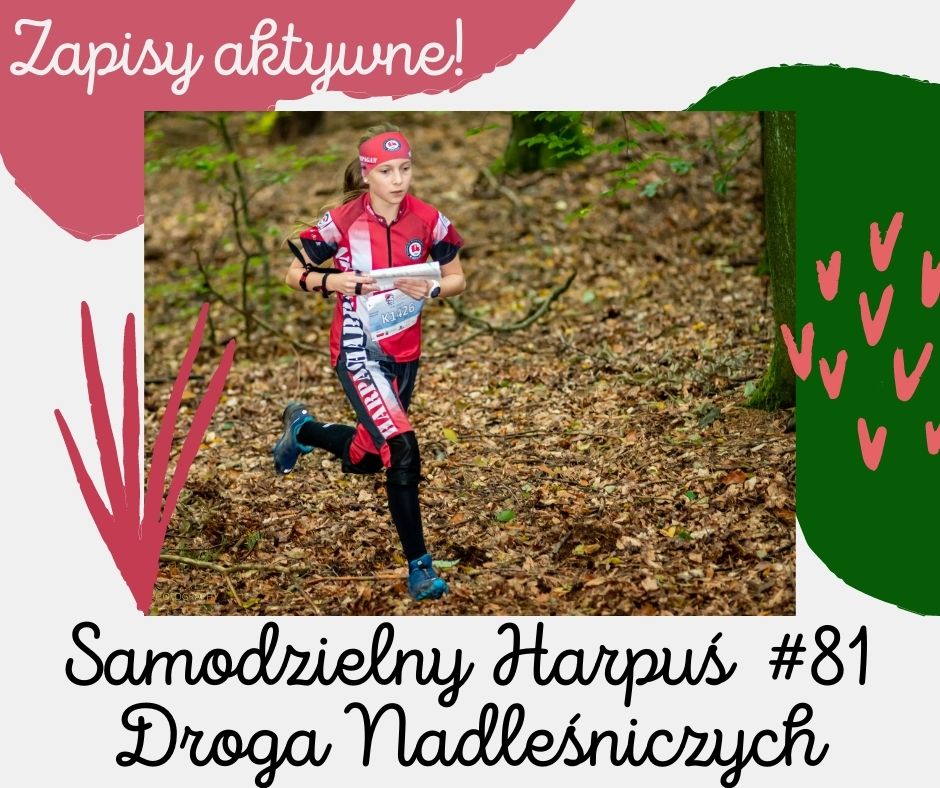 zapisy 81 zapisy 81