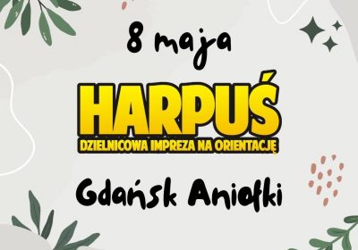 aniolki (1)