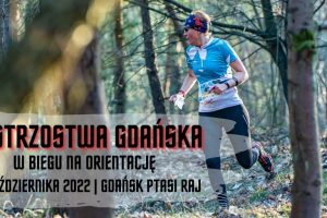 mg tło