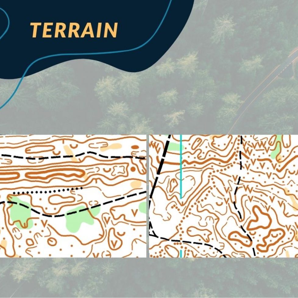 terrain