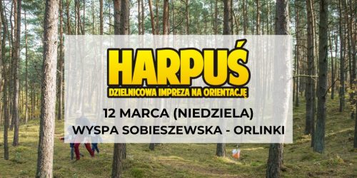 Orlinki_1203