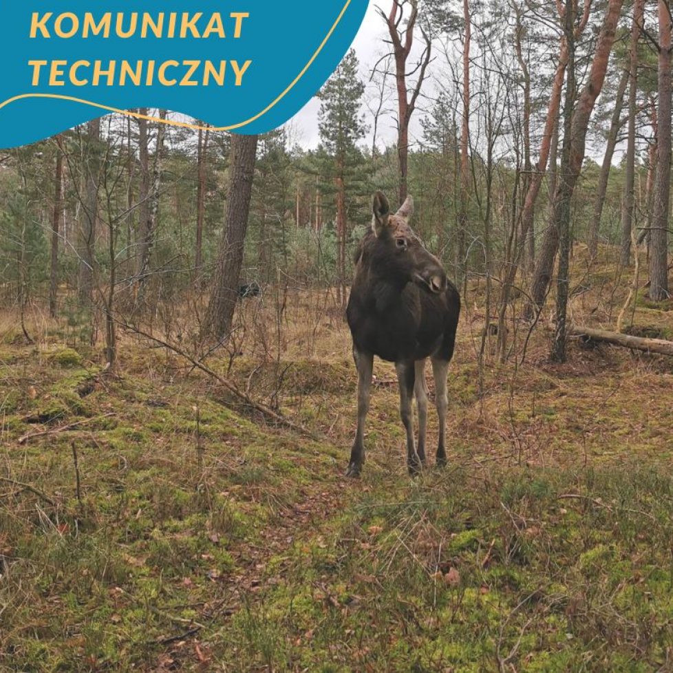 komunikat