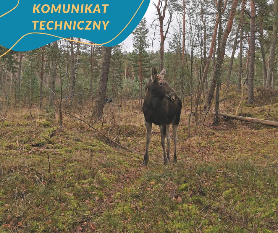 komunikat