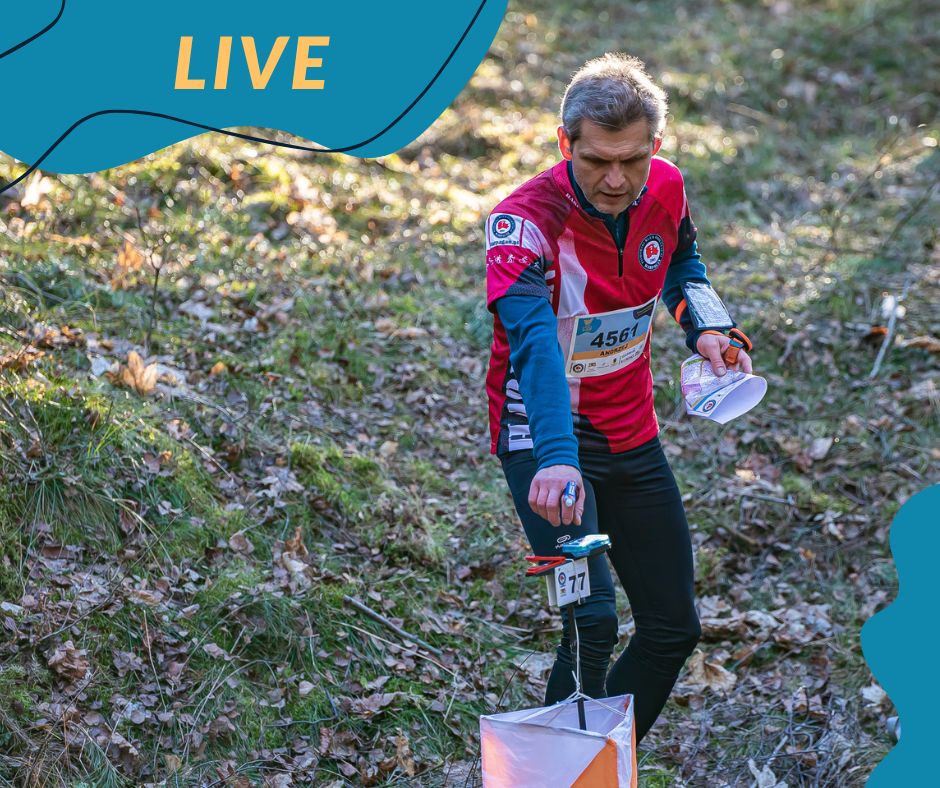 live live