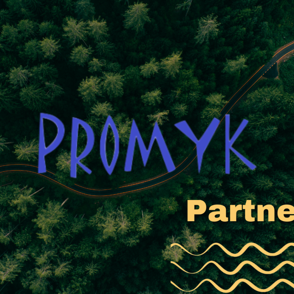 promyk